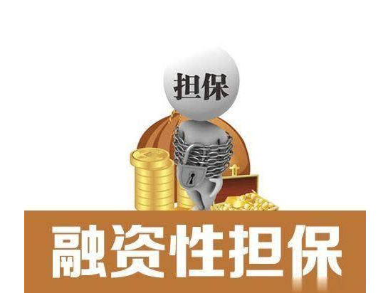 担保公司的贷款担保流程是怎样的？(图1)